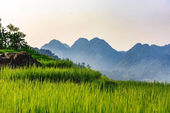 Impressions du nord du Vietnam & croisière dans la baie de Halong de Hanoi: Pu Luong Nature Reserve