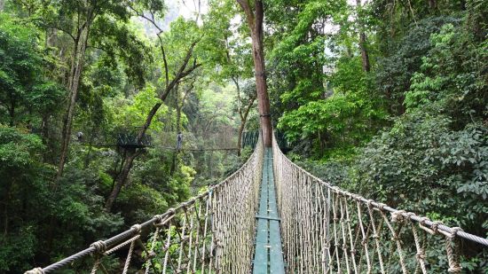 Naturschönheiten Nordlaos' ab Luang Prabang: Nam Kat Yorla Pa | Canopy Walk