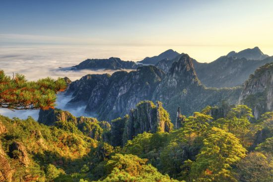 Huang Shan - Der Gelbe Berg ab Shanghai: Huang Shan