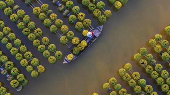 Faszinierendes Mekong Delta - ab Saigon bis Phnom Penh: Aerial view of Sa Dec flower garden