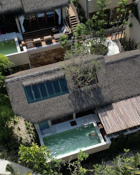 Irene Resort Koh Lipe à Ko Lipe:  Tree Pool Villa