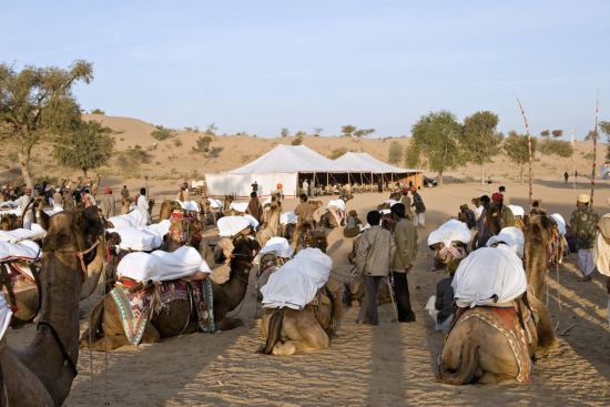 MANVAR Sevan, The Desert Camp in Wüste Thar: activities: 