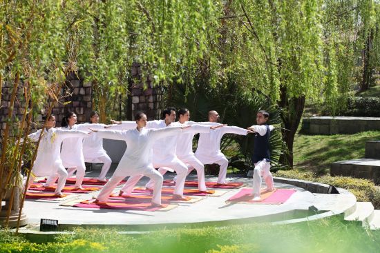 Ananda in the Himalayas à Rishikesh:  Group Yoga Amphitheatre