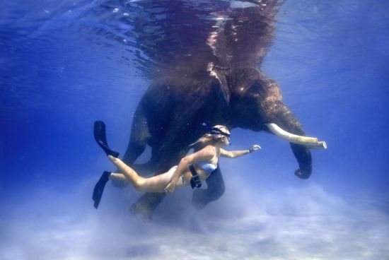 Barefoot at Havelock in Andamanen:  Dive With Rajan
