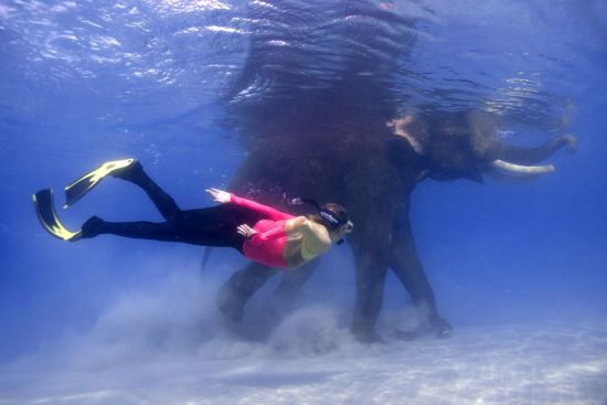 Barefoot at Havelock in Andamanen:  Underwater