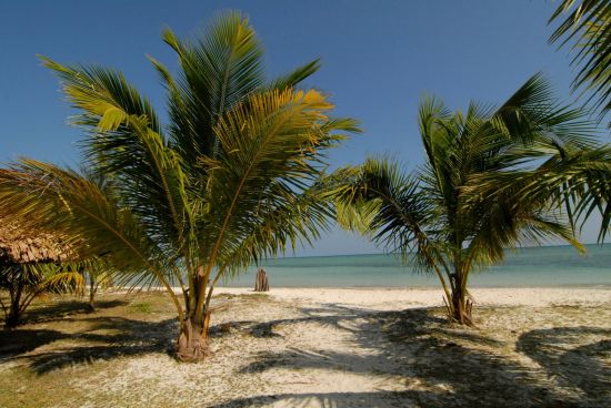 Silversand Beach Resort in Andamanen: beach: 