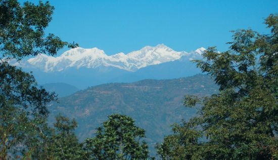 Glenburn Tea Estate à Darjeeling:  View of Mountains from Glenburn