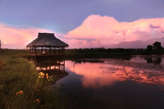 Coconut Lagoon à Kumarakom:  Sunset in the Backwaters