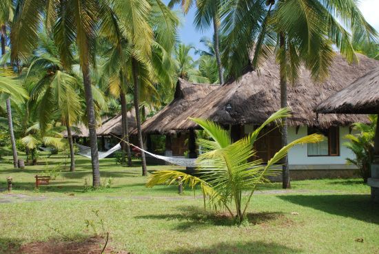 Neeleshwar Hermitage:  Garden