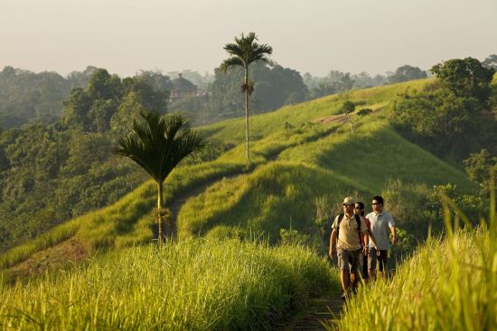 COMO Uma Ubud:  Morning Walk
