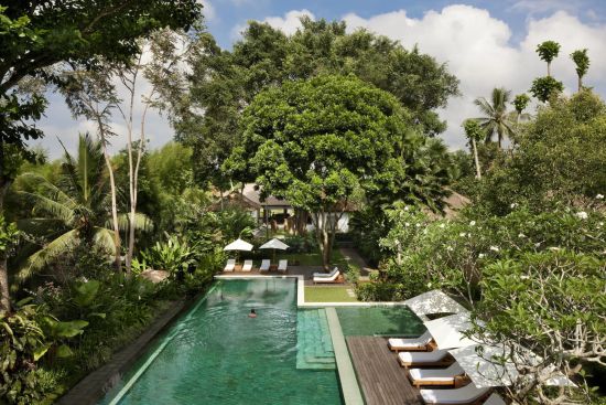 COMO Uma Ubud: pool: 