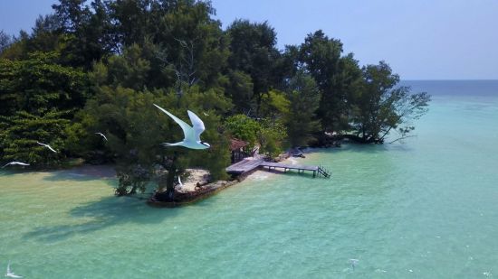 Kura Kura Resort à Karimunjawa:  Krakal Island