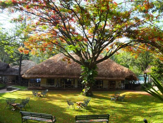 Spice Village à Thekkady:  Garden