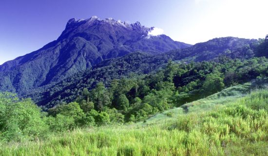 Mt. Kinabalu Park in Kota Kinabalu: Sabah: Mt. Kinabalu