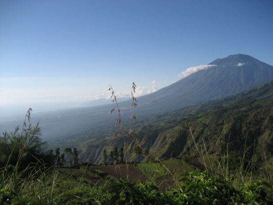 Trekking im Hochland Balis in Ubud: Trekking Karin Vogt