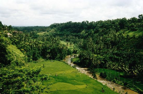 Ubud auf eigene Faust im "VW Kübelwagen": Bali Ubud