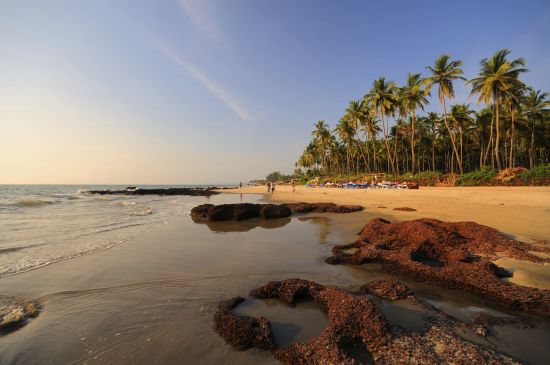 Goa dans toute sa diversité: Morjim Beach in Goa