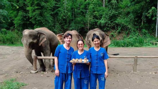 Erlebnisse mit Elefanten in Chiang Mai: Thai Elephant Home