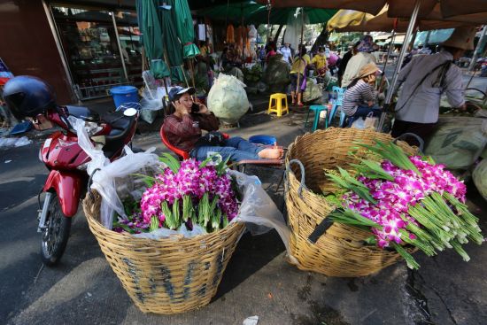 Chiang Mai à vélo – demi-journée: Market