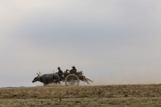 Ursprüngliches Dorfleben am Dohtawaddy Fluss in Mandalay: Bullock Cart