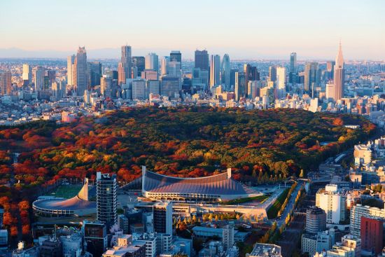 Tokio à la carte - Ganzer Tag: Shinjuku District and Yoyogi urban park
