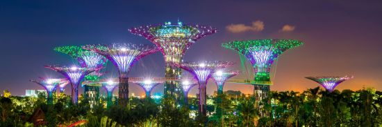 Singapore by Night an der Marina Bay in Singapur: Garden by the Bay Singapore