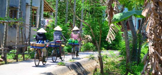 Velotour um Hoi An: Hoi An: Countryside Cycling