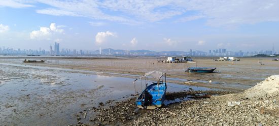 «New Territories» authentiques à Hong Kong: View over Deep Bay to Shenzhen