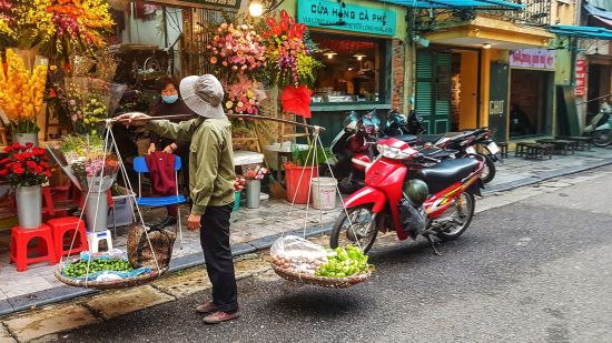 Tour de ville & temple de la littérature à Hanoi: Hanoi: Street scene
