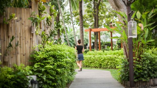 NH Collection Samui Peace Resort in Ko Samui:  Garden