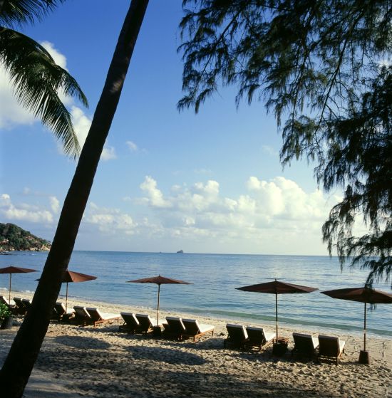 SALA Samui Choengmon Beach Resort in Ko Samui: beach: 