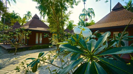 Sivalai Beach Resort in Ko Mook:  Standard Villa