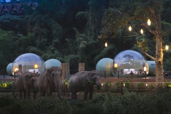 Anantara Golden Triangle Elephant Camp & Resort in Goldenes Dreieck:  Jungle Bubbles at Dawn