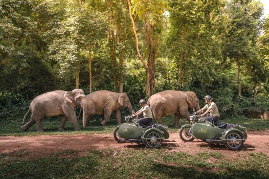 Anantara Golden Triangle Elephant Camp & Resort in Goldenes Dreieck:  Royal Enfield Sidecars