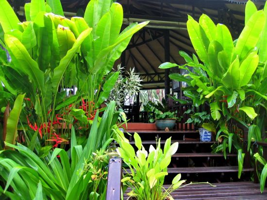 Shantaa Resort in Ko Kood: facilities: 