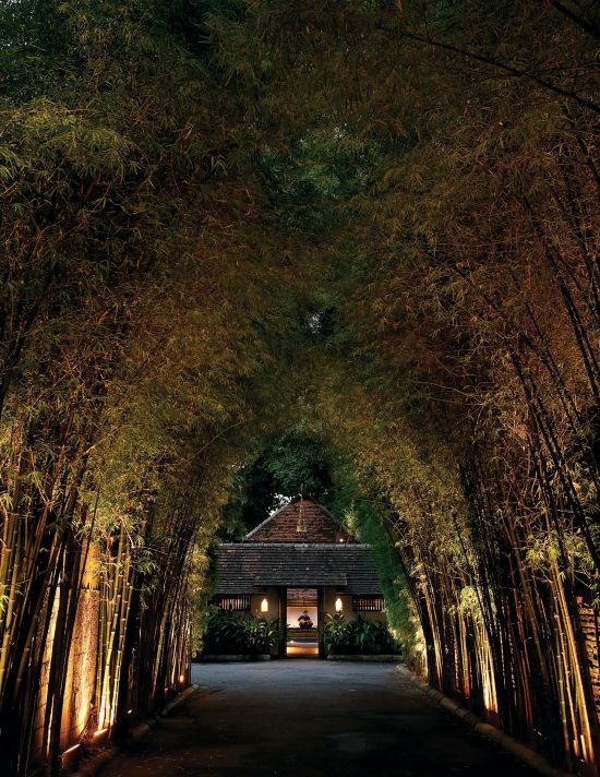 Tamarind Village in Chiang Mai:  Bamboo Entrance