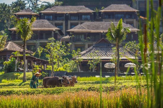 Mandapa, A Ritz-Carlton Reserve à Ubud:  Rice Paddy at Mandapa