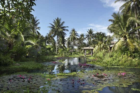Anantara Mai Khao Phuket Villas:  Exterior View | Lotus Filled Lagoon