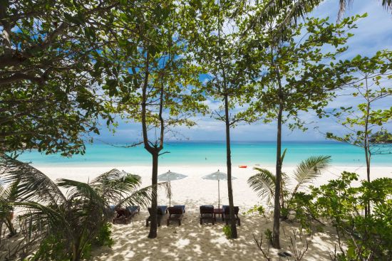 The Surin Phuket:  Beach View