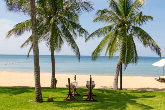 Chen Sea Resort & Spa in Phu Quoc:  Hammock and coconut tree
