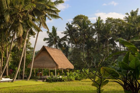 The Ubud Village Resort & Spa:  Yoga Shala