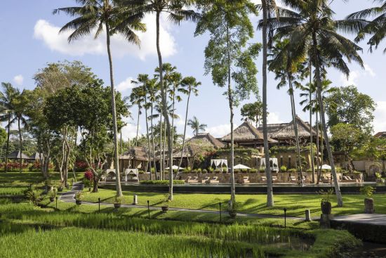 The Ubud Village Resort & Spa:  Pool & Garden