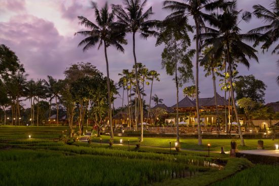 The Ubud Village Resort & Spa:  Pool & Garden