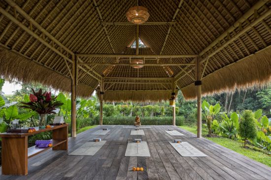 The Ubud Village Resort & Spa:  Yoga Shala