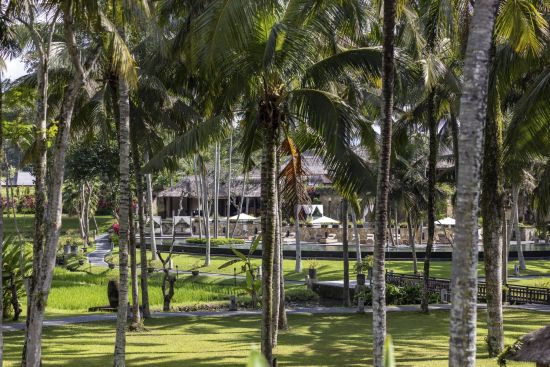 The Ubud Village Resort & Spa:  Garden