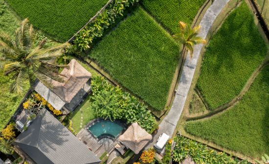 The Ubud Village Resort & Spa:  Rice Field Pool Villa