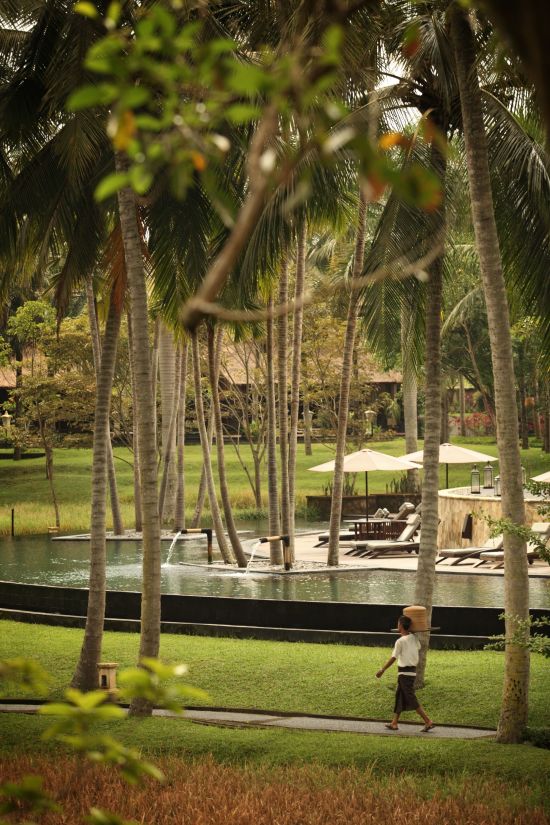 The Ubud Village Resort & Spa:  Garden