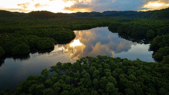 Nay Palad Hideaway in Siargao:  SUP in the mangroves