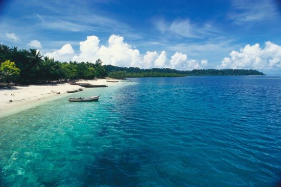 Taj Exotica Resort & Spa, Andamans in Andamanen:  Beach