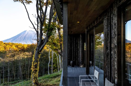 Zaborin in Niseko:  Washitsu